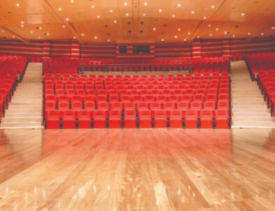 AUDITORIO (1)